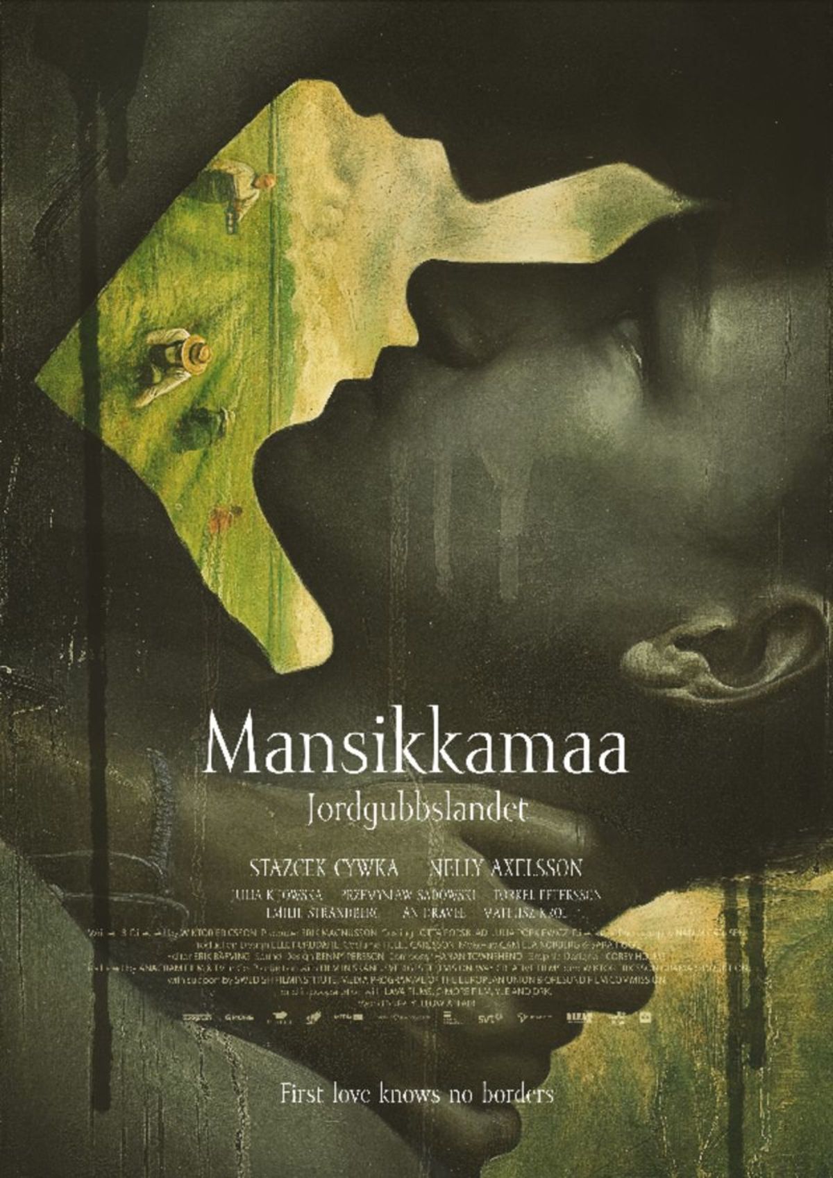 mansikkamaa-arthouse-cinema-niagara