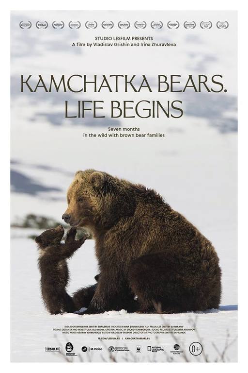 Kamchatka Bears. Life Begins